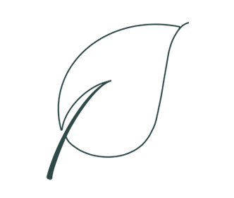 leaf illustration